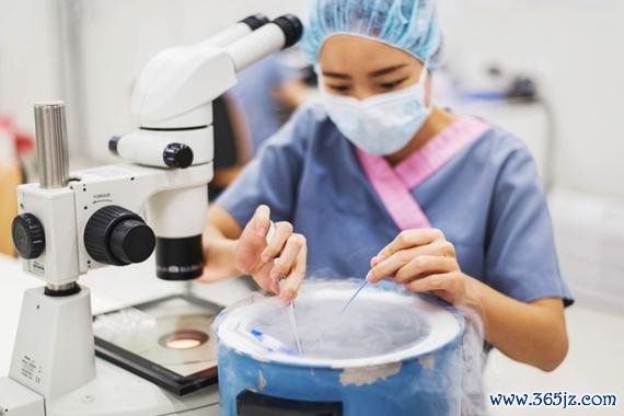 丹东试管婴儿助孕费用一览及实惠方案 丹东试管婴儿助孕费用一览及实惠方案