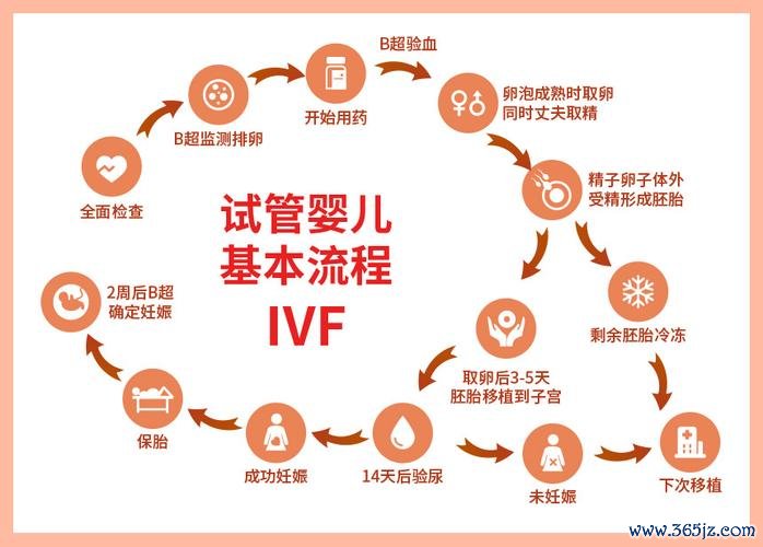 丹东试管婴儿助孕费用价格实惠方案介绍