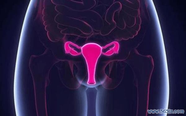 丹东试管婴儿助孕费用及第四代技术介绍 丹东试管婴儿助孕费用及第四代技术介绍